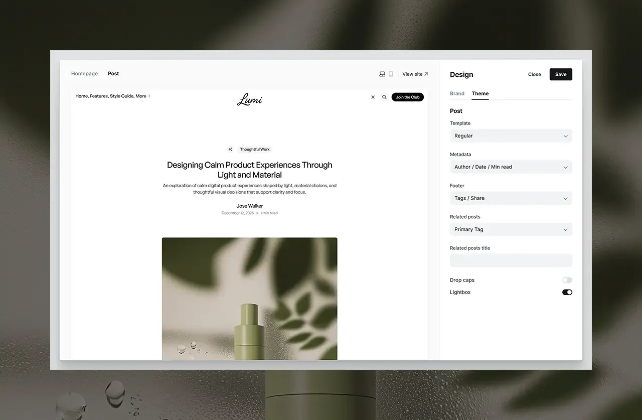 Lumi Post and Page Options
